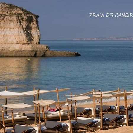 Ocean Terraces By Vila Gaivota D فيريغودو المظهر الخارجي الصورة