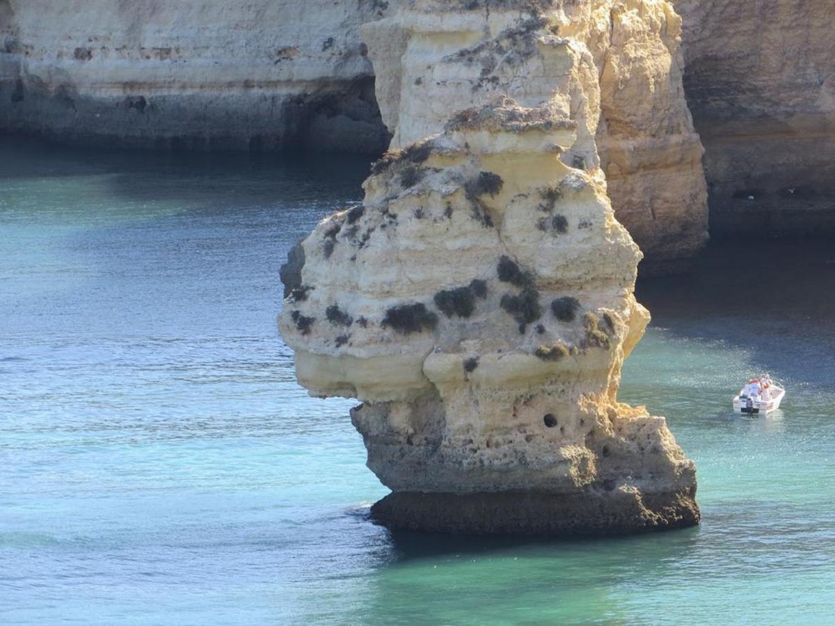 Ocean Terraces By Vila Gaivota D فيريغودو المظهر الخارجي الصورة