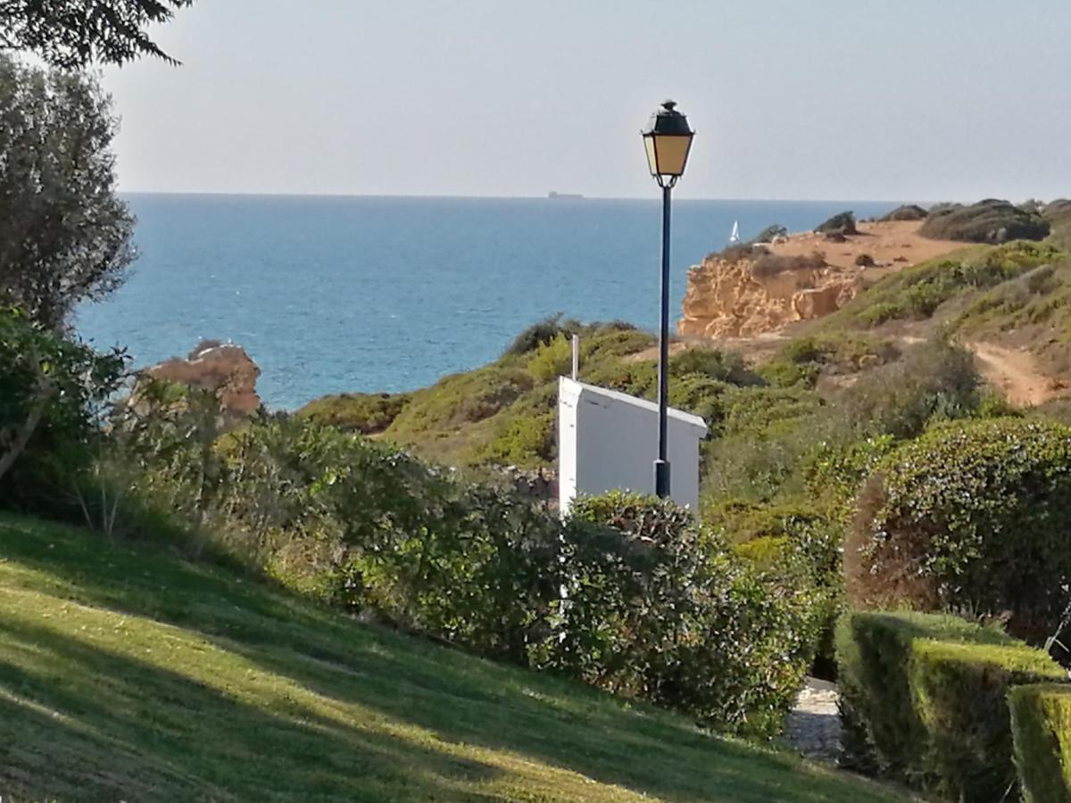 Ocean Terraces By Vila Gaivota D فيريغودو المظهر الخارجي الصورة
